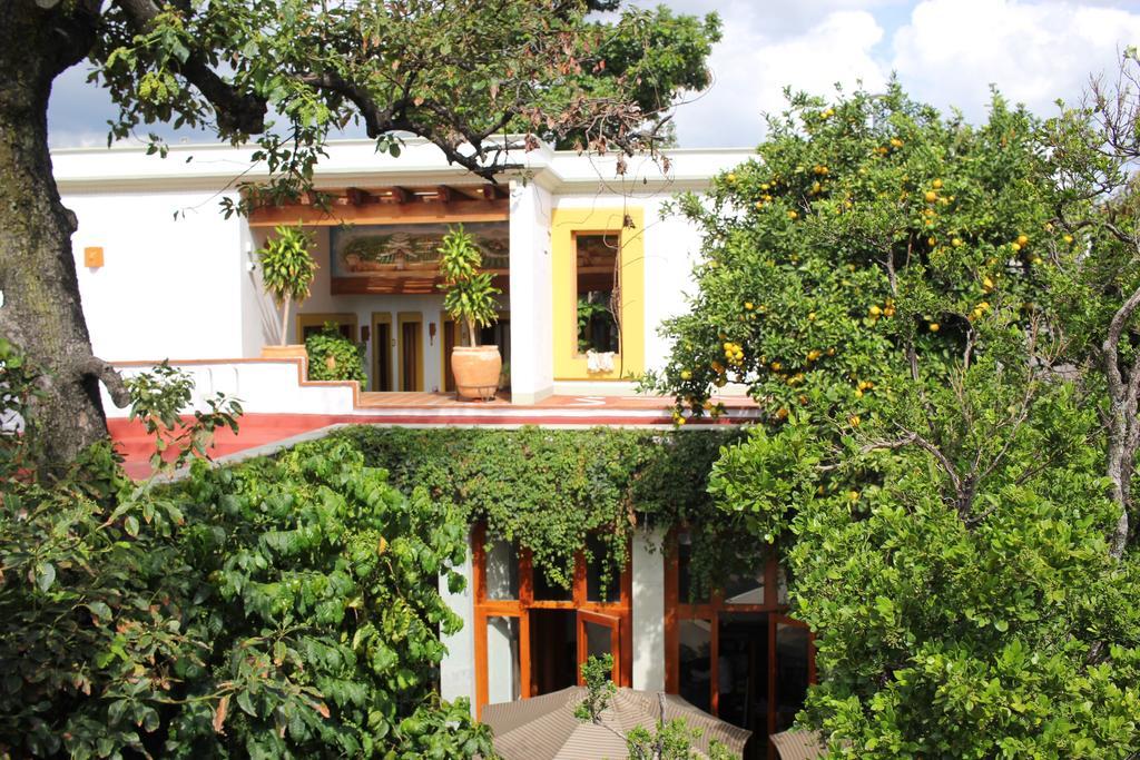 Hotel Casa Vertiz Oaxaca Zewnętrze zdjęcie