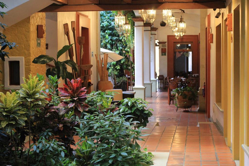 Hotel Casa Vertiz Oaxaca Zewnętrze zdjęcie